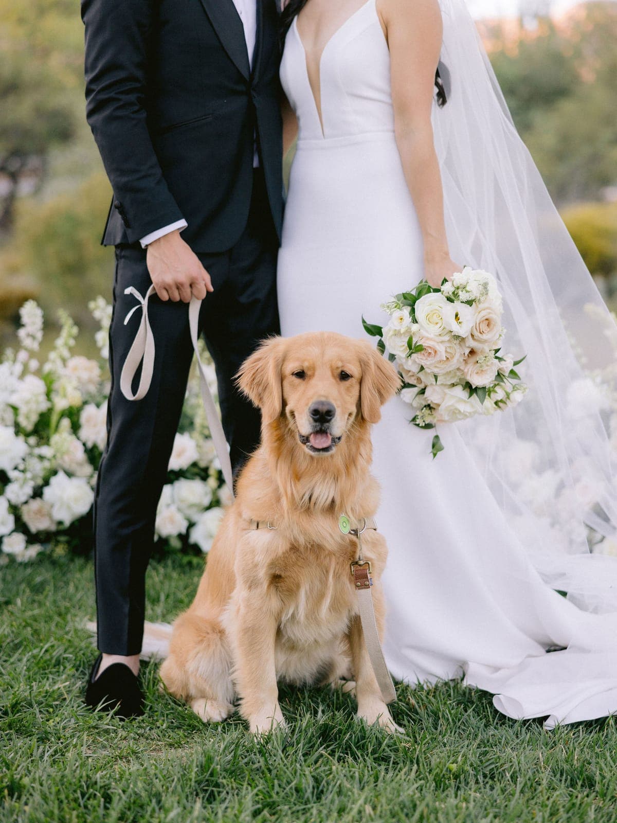 Aimee & Andy at Spring Mountain Ranch, photo 6