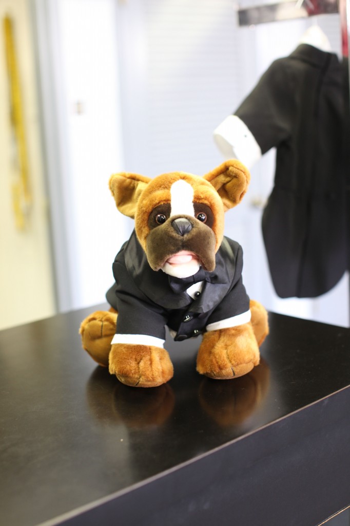 Dog Tuxedo