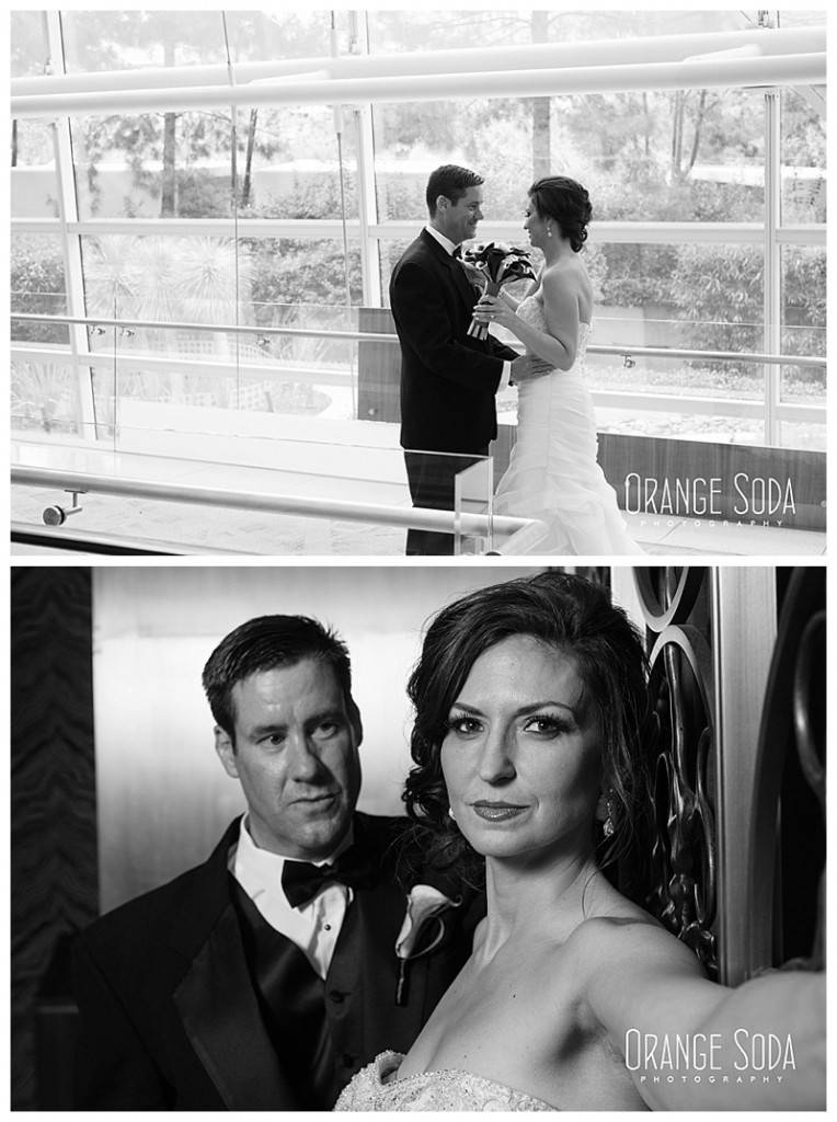 Vdara Las Vegas Wedding